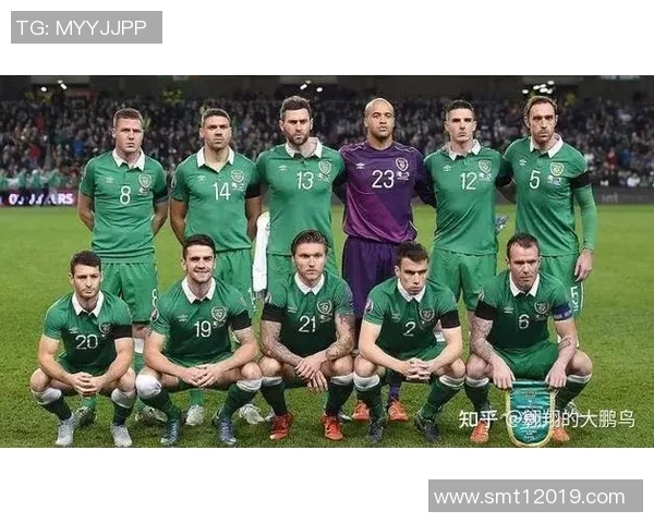 法国队与爱尔兰足球对决精彩回顾与赛后分析