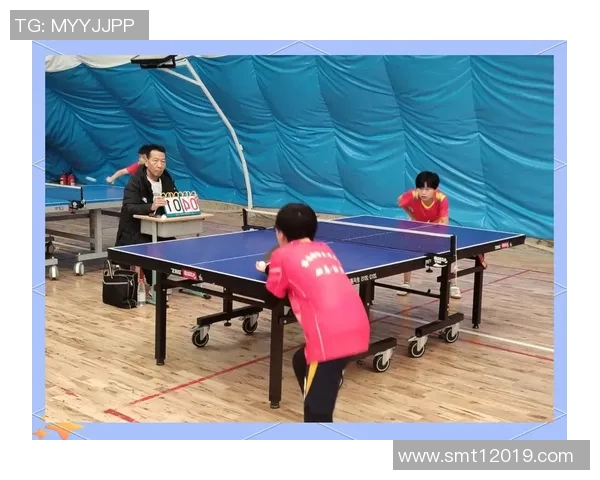 乒乓球纪实：见证北京乒乓球队转型与发展的奋斗历程